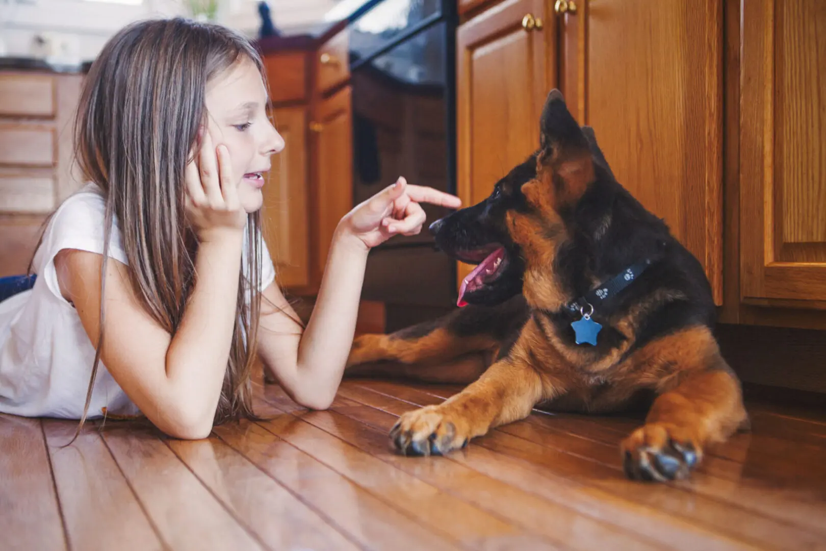 Girl playing with German Shepherd dog
