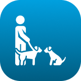 Dog walking symbol on blue background