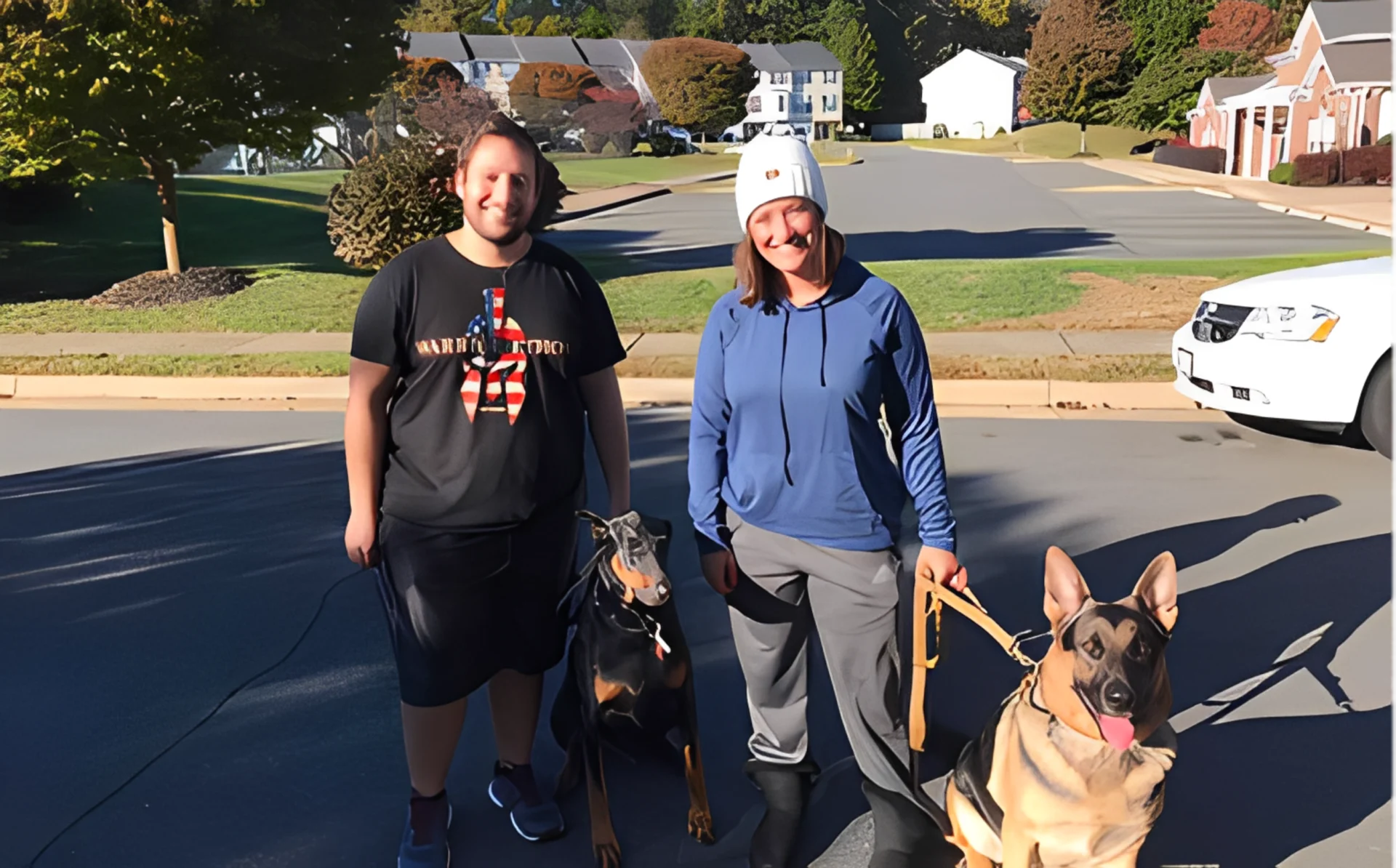 Sunny day dog walk with friends